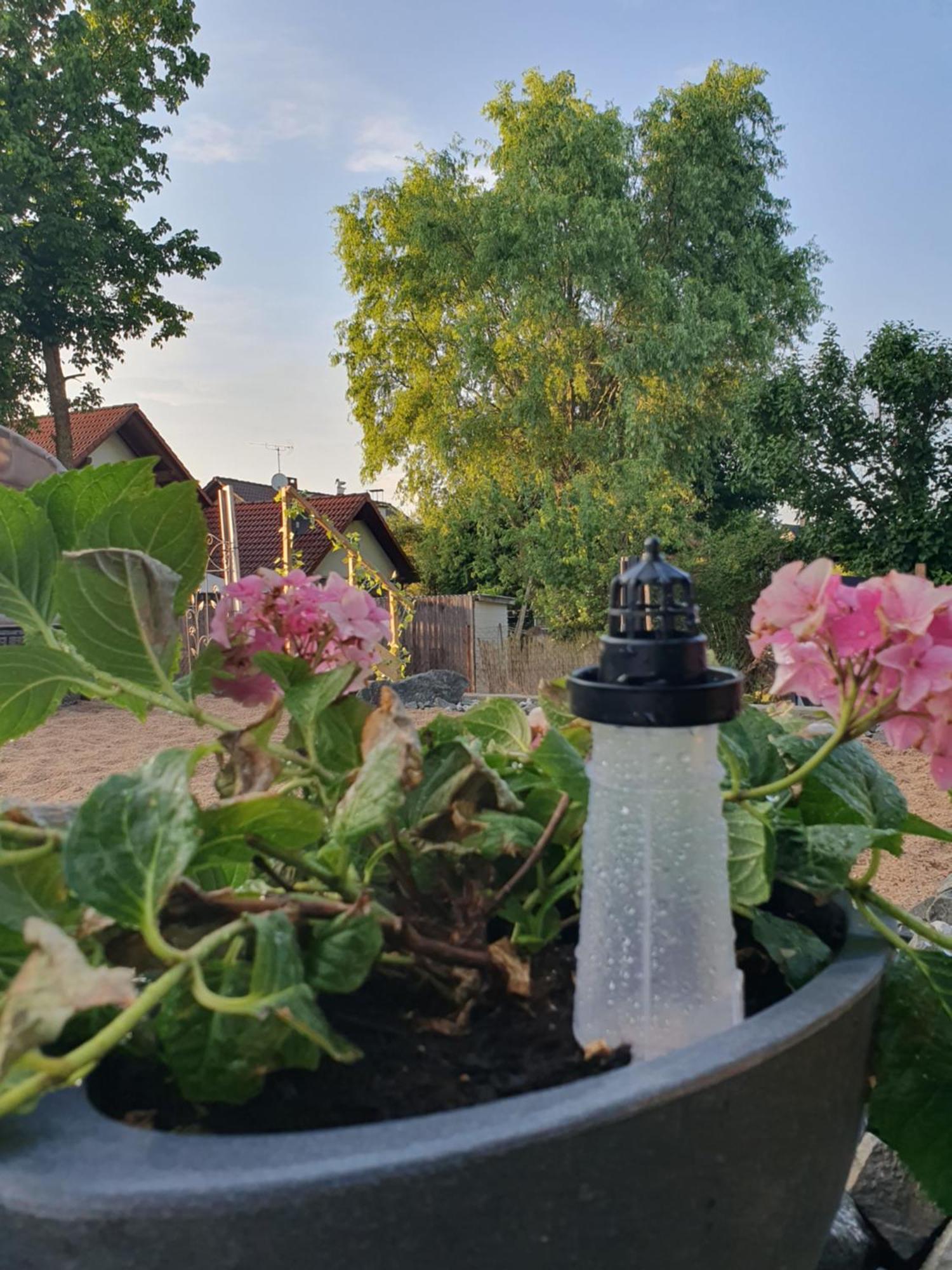 Casa Vogelsberg Lägenhet Schotten Exteriör bild
